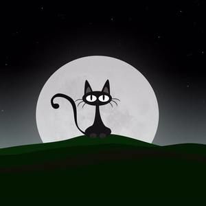 Meet your Posher, Nadine